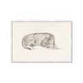 Picture of Tiger Time _GroupedProduct_Rectangle_Landscape_Framed_Matted_