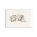 Picture of Tiger Time _GroupedProduct_Rectangle_Landscape_Framed_Matted_