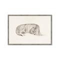 Picture of Tiger Time _GroupedProduct_Rectangle_Landscape_Framed_Matted_
