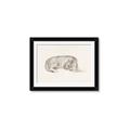 Picture of Tiger Time _GroupedProduct_Rectangle_Landscape_Framed_Matted_