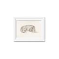 Picture of Tiger Time _GroupedProduct_Rectangle_Landscape_Framed_Matted_