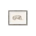 Picture of Tiger Time _GroupedProduct_Rectangle_Landscape_Framed_Matted_