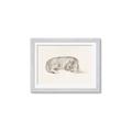 Picture of Tiger Time _GroupedProduct_Rectangle_Landscape_Framed_Matted_