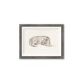 Picture of Tiger Time _GroupedProduct_Rectangle_Landscape_Framed_Matted_