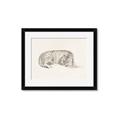 Picture of Tiger Time _GroupedProduct_Rectangle_Landscape_Framed_Matted_
