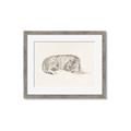 Picture of Tiger Time _GroupedProduct_Rectangle_Landscape_Framed_Matted_