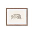 Picture of Tiger Time _GroupedProduct_Rectangle_Landscape_Framed_Matted_