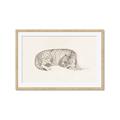 Picture of Tiger Time _GroupedProduct_Rectangle_Landscape_Framed_Matted_
