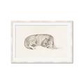 Picture of Tiger Time _GroupedProduct_Rectangle_Landscape_Framed_Matted_