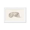 Picture of Tiger Time _GroupedProduct_Rectangle_Landscape_Framed_Matted_