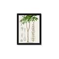 Picture of Palm Botanical _GroupedProduct_Rectangle_Portrait_Framed_Matted_