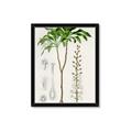 Picture of Palm Botanical _GroupedProduct_Rectangle_Portrait_Framed_Matted_