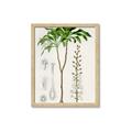 Picture of Palm Botanical _GroupedProduct_Rectangle_Portrait_Framed_Matted_
