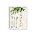 Picture of Palm Botanical _GroupedProduct_Rectangle_Portrait_Framed_Matted_