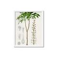 Picture of Palm Botanical _GroupedProduct_Rectangle_Portrait_Framed_Matted_
