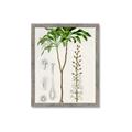 Picture of Palm Botanical _GroupedProduct_Rectangle_Portrait_Framed_Matted_