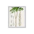 Picture of Palm Botanical _GroupedProduct_Rectangle_Portrait_Framed_Matted_