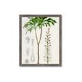 Picture of Palm Botanical _GroupedProduct_Rectangle_Portrait_Framed_Matted_