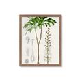 Picture of Palm Botanical _GroupedProduct_Rectangle_Portrait_Framed_Matted_