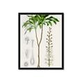 Picture of Palm Botanical _GroupedProduct_Rectangle_Portrait_Framed_Matted_