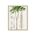 Picture of Palm Botanical _GroupedProduct_Rectangle_Portrait_Framed_Matted_