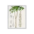 Picture of Palm Botanical _GroupedProduct_Rectangle_Portrait_Framed_Matted_