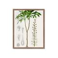 Picture of Palm Botanical _GroupedProduct_Rectangle_Portrait_Framed_Matted_