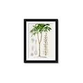 Picture of Palm Botanical _GroupedProduct_Rectangle_Portrait_Framed_Matted_