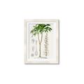 Picture of Palm Botanical _GroupedProduct_Rectangle_Portrait_Framed_Matted_