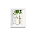 Picture of Palm Botanical _GroupedProduct_Rectangle_Portrait_Framed_Matted_