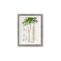Picture of Palm Botanical _GroupedProduct_Rectangle_Portrait_Framed_Matted_