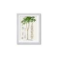 Picture of Palm Botanical _GroupedProduct_Rectangle_Portrait_Framed_Matted_