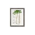 Picture of Palm Botanical _GroupedProduct_Rectangle_Portrait_Framed_Matted_