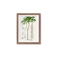 Picture of Palm Botanical _GroupedProduct_Rectangle_Portrait_Framed_Matted_