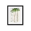 Picture of Palm Botanical _GroupedProduct_Rectangle_Portrait_Framed_Matted_