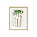 Picture of Palm Botanical _GroupedProduct_Rectangle_Portrait_Framed_Matted_