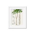 Picture of Palm Botanical _GroupedProduct_Rectangle_Portrait_Framed_Matted_