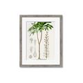 Picture of Palm Botanical _GroupedProduct_Rectangle_Portrait_Framed_Matted_