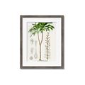 Picture of Palm Botanical _GroupedProduct_Rectangle_Portrait_Framed_Matted_
