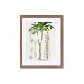 Picture of Palm Botanical _GroupedProduct_Rectangle_Portrait_Framed_Matted_