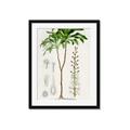 Picture of Palm Botanical _GroupedProduct_Rectangle_Portrait_Framed_Matted_
