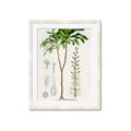 Picture of Palm Botanical _GroupedProduct_Rectangle_Portrait_Framed_Matted_