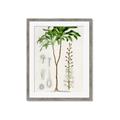 Picture of Palm Botanical _GroupedProduct_Rectangle_Portrait_Framed_Matted_