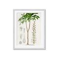 Picture of Palm Botanical _GroupedProduct_Rectangle_Portrait_Framed_Matted_