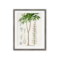 Picture of Palm Botanical _GroupedProduct_Rectangle_Portrait_Framed_Matted_