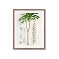 Picture of Palm Botanical _GroupedProduct_Rectangle_Portrait_Framed_Matted_