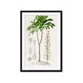 Picture of Palm Botanical _GroupedProduct_Rectangle_Portrait_Framed_Matted_