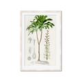 Picture of Palm Botanical _GroupedProduct_Rectangle_Portrait_Framed_Matted_
