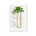 Picture of Palm Botanical _GroupedProduct_Rectangle_Portrait_Framed_Matted_