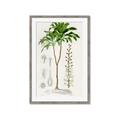 Picture of Palm Botanical _GroupedProduct_Rectangle_Portrait_Framed_Matted_